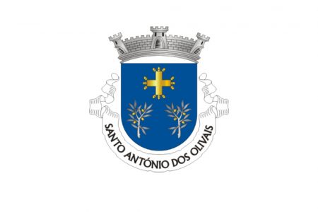 Junta de Freguesia de Santo António dos Olivais
