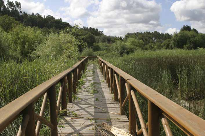 Reserva Natural do Paúl de Arzila [Paúl de Arzila Nature Reserve]: