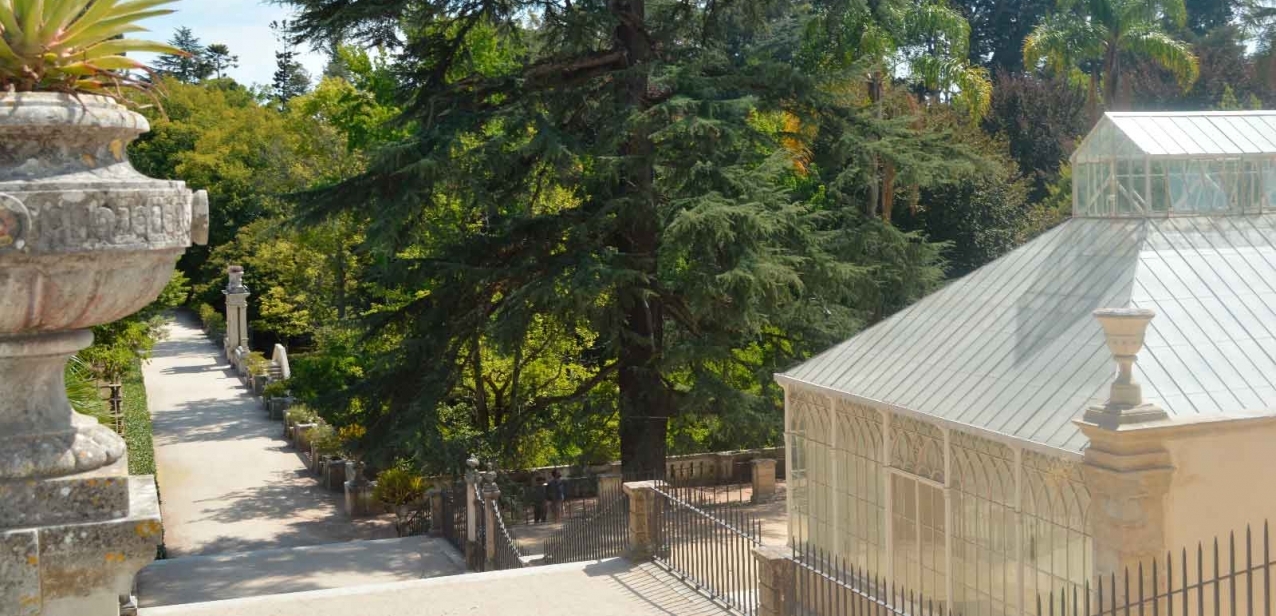 Little Market of the Botanical Garden: