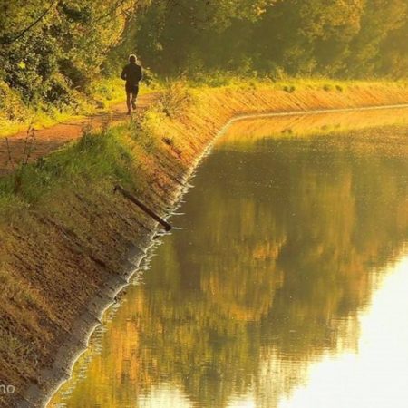 Mata Nacional do Choupal [Choupal National Park]