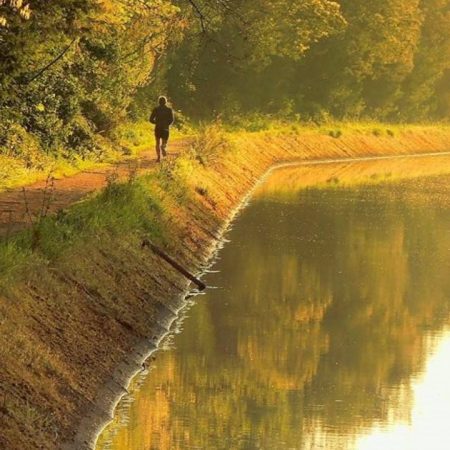 Regulamento e tarifário