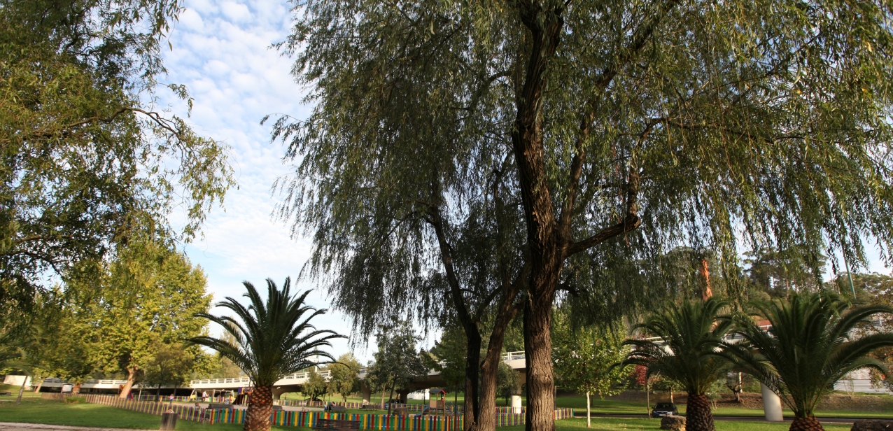 Horto Municipal