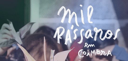 Mil Pássaros